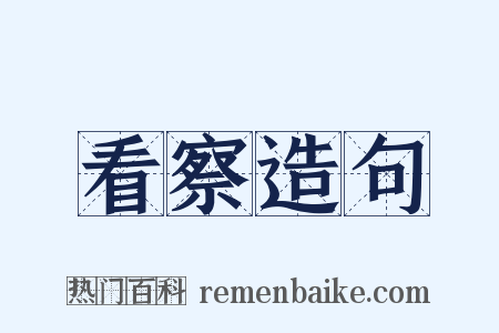 看察造句是什么意思的图片